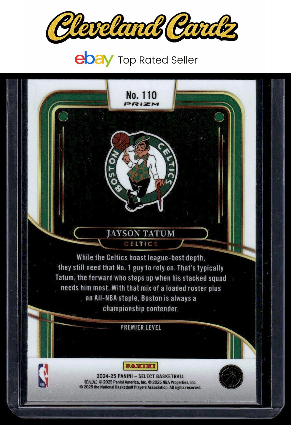 2024-25 Panini Select #110 Jayson Tatum Blue Prizm