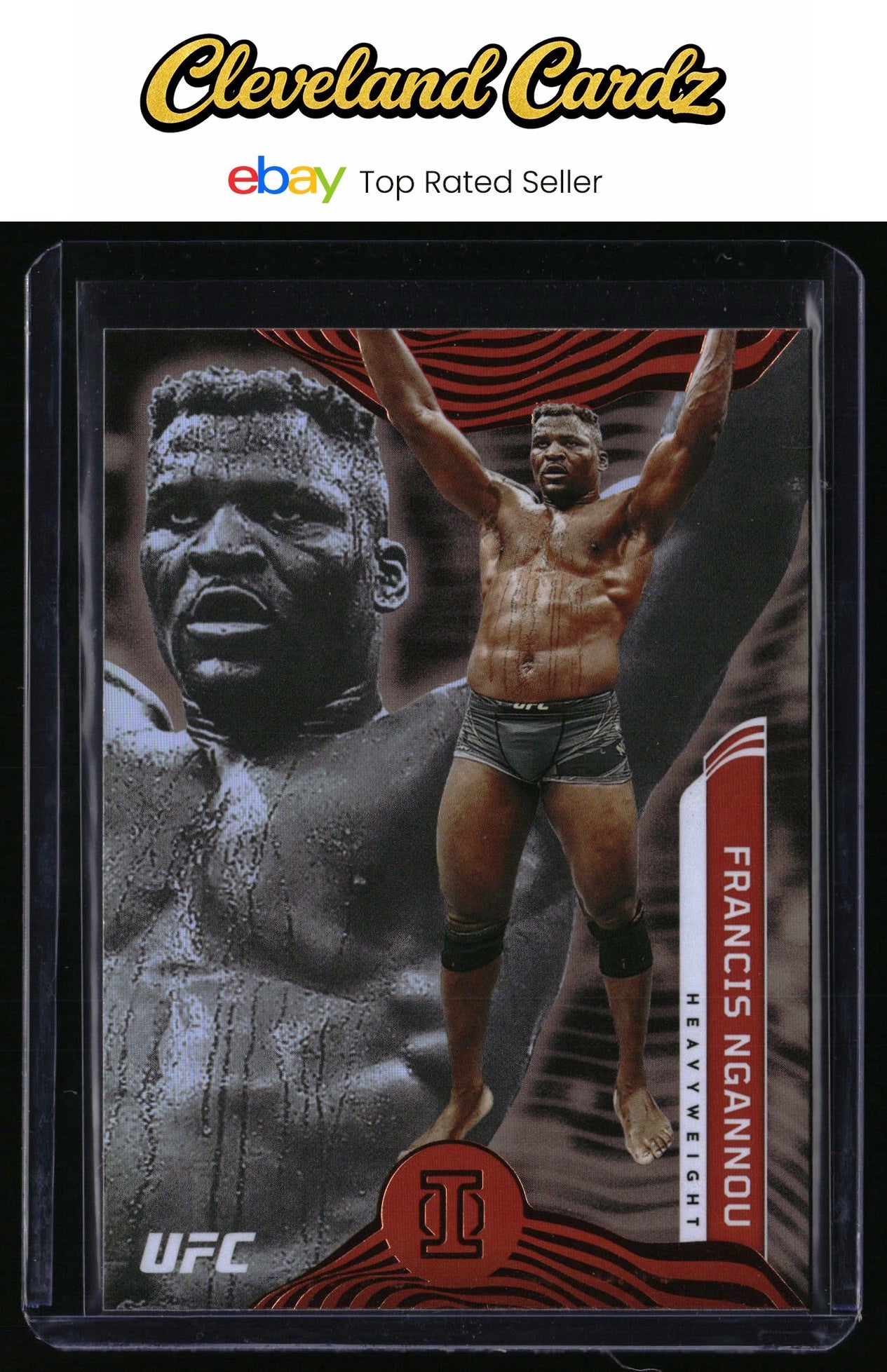 2022 Panini Chronicles UFC #279 Francis Ngannou