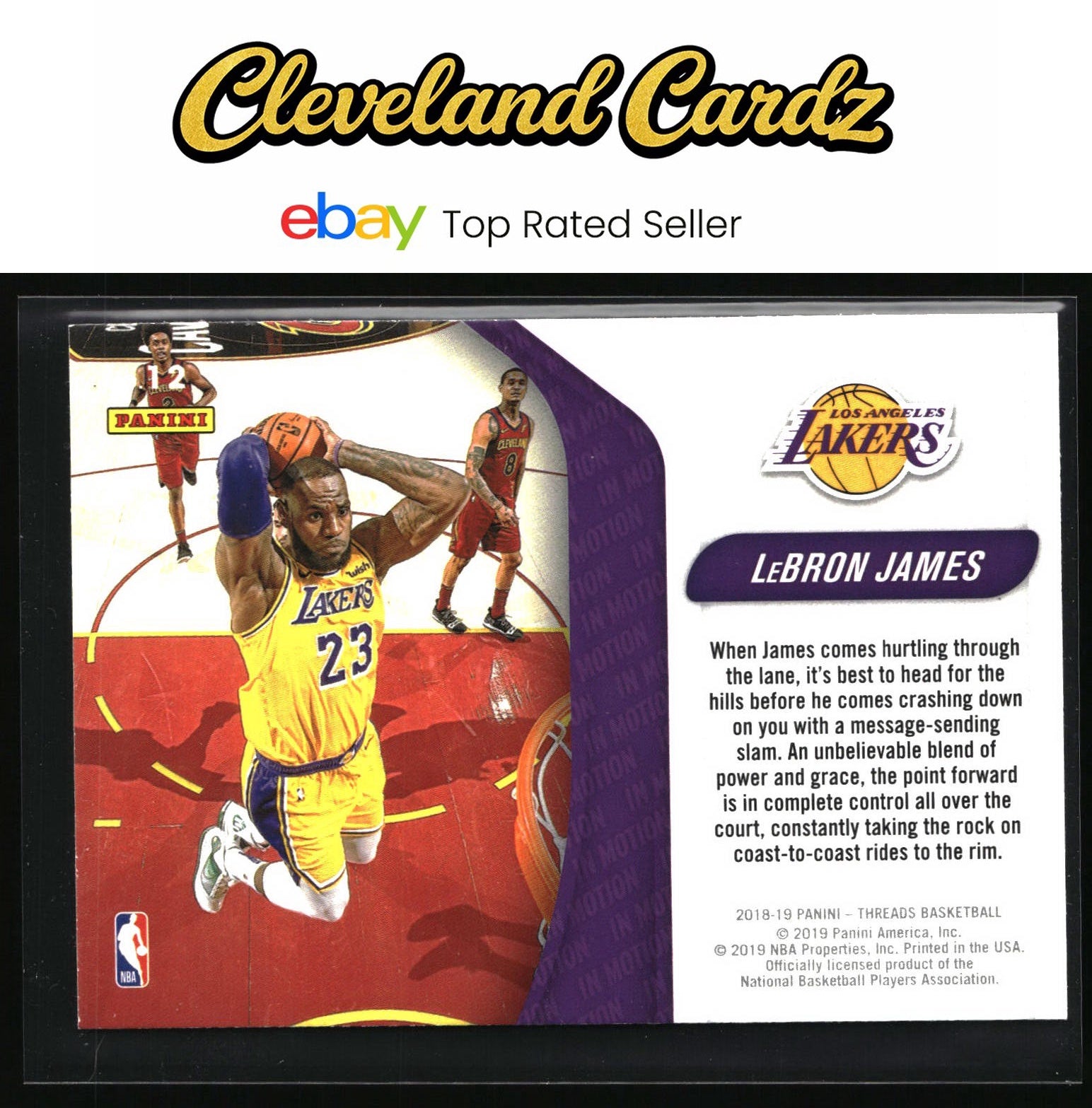 2018-19 Panini Threads #12 LeBron James In Motion Dazzle