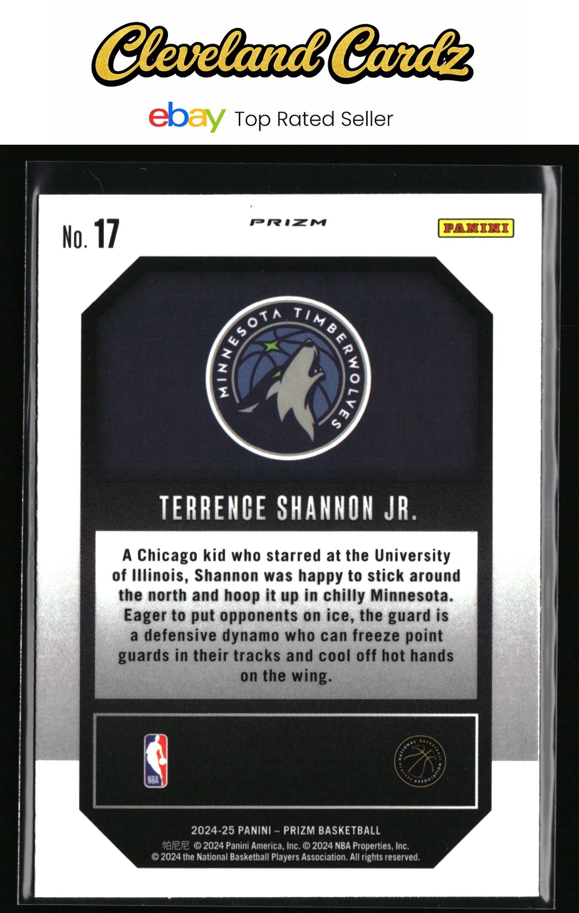 2024-25 Panini Prizm #17 Terrence Shannon Jr. Emergent Prizms Silver