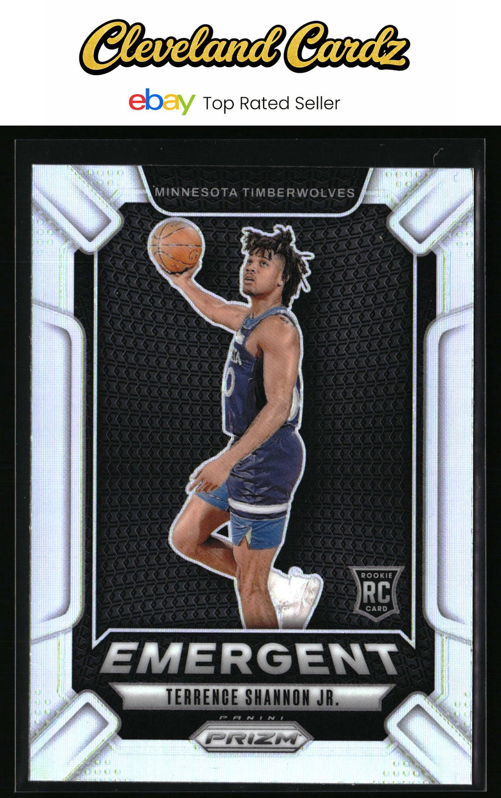 2024-25 Panini Prizm #17 Terrence Shannon Jr. Emergent Prizms Silver