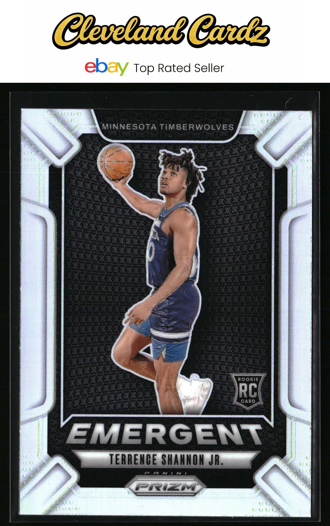 2024-25 Panini Prizm #17 Terrence Shannon Jr. Emergent Prizms Silver