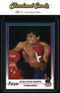 1991 Kayo #048 Julio Cesar Vasquez