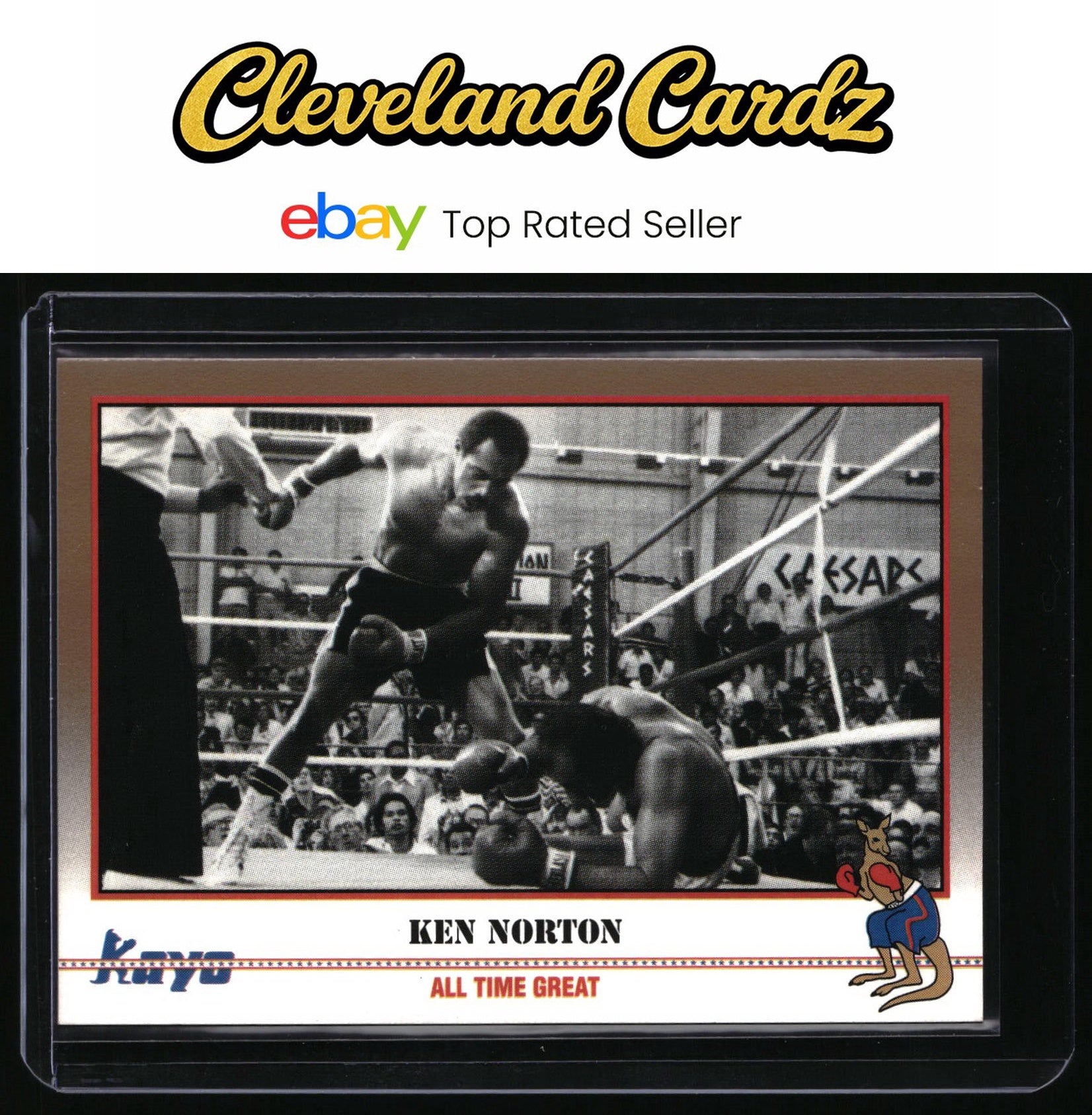 1991 Kayo #225 Ken Norton