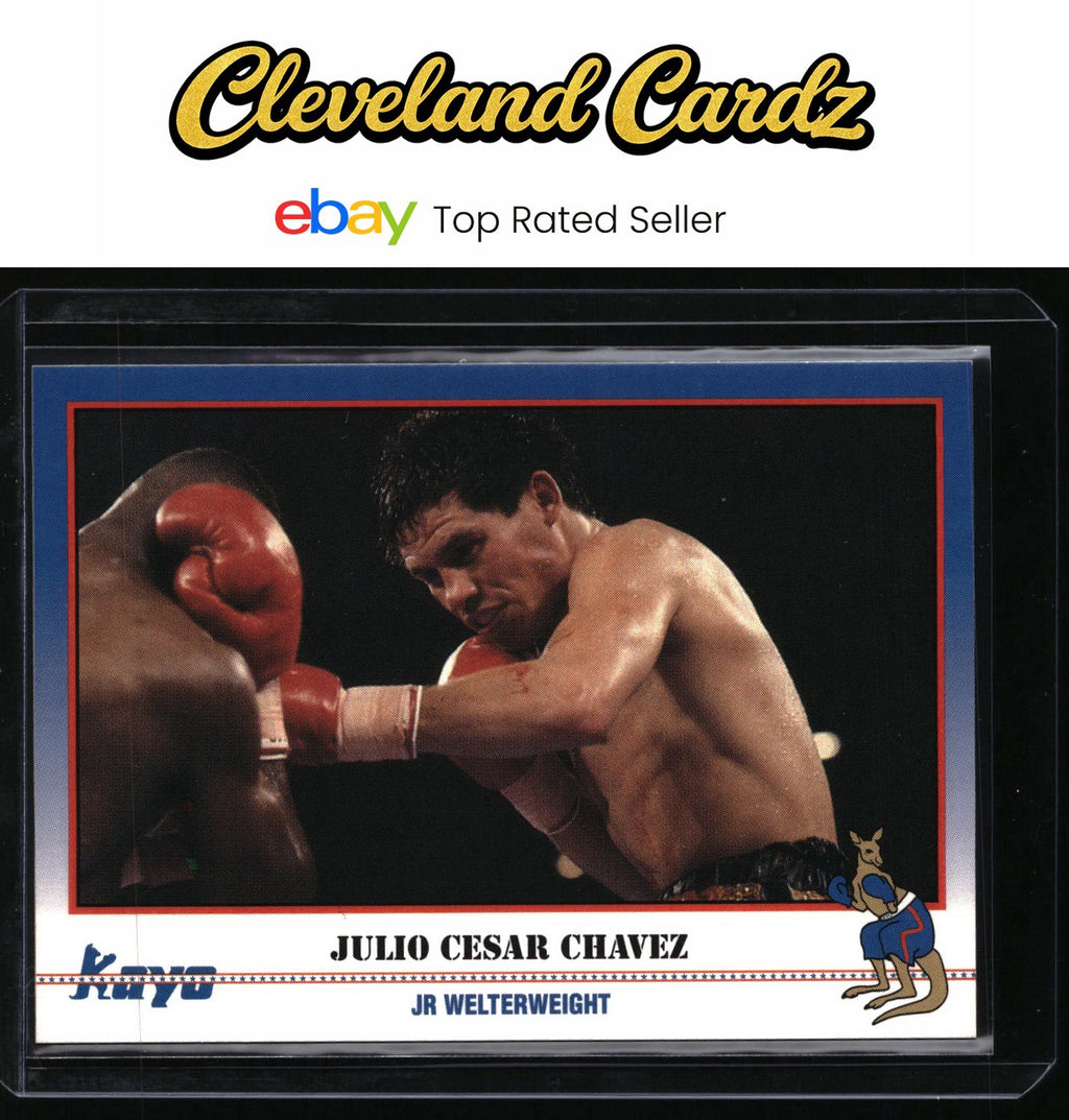 1991 Kayo #216 Julio Cesar Chavez
