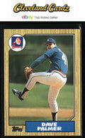 1987 Topps #324 Dave Palmer