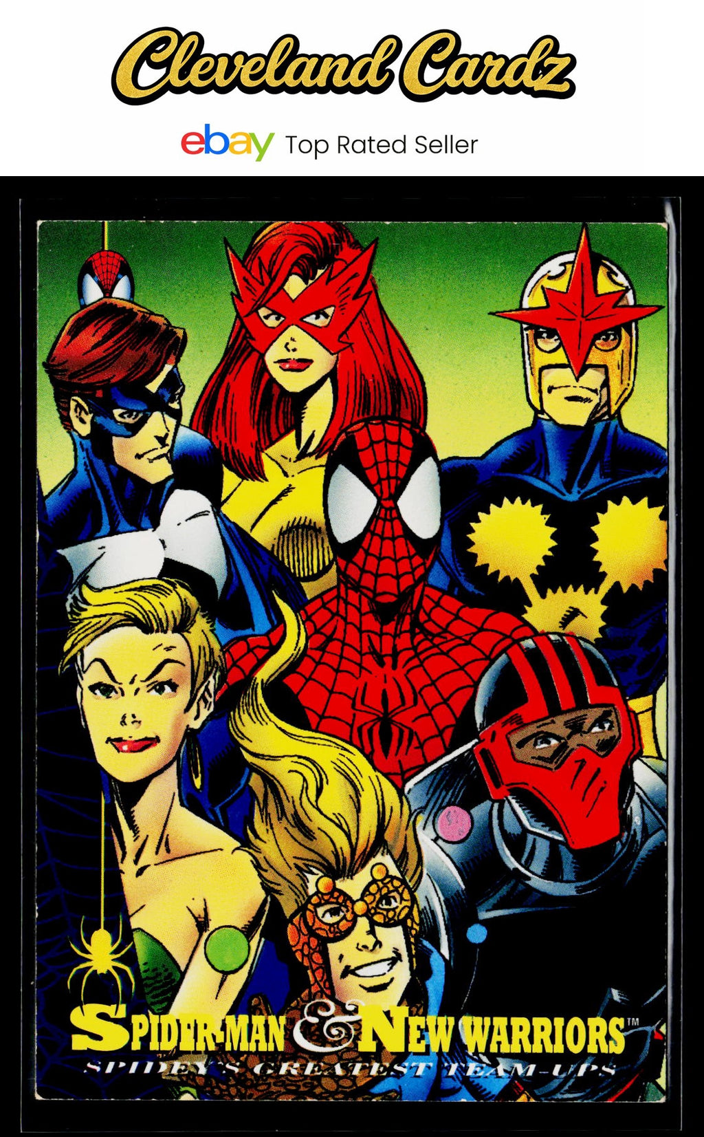 1994 Fleer The Amazing Spider-Man #95 Spider-Man &amp; New Warriors