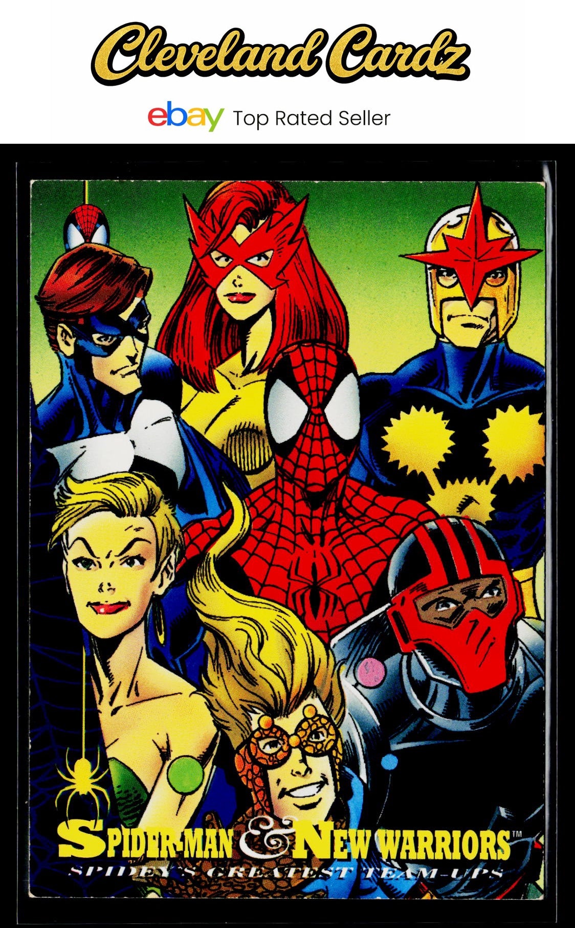 1994 Fleer The Amazing Spider-Man #95 Spider-Man &amp; New Warriors