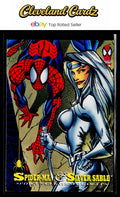 1994 Fleer The Amazing Spider-Man #92 Spider-Man / Silver Sable