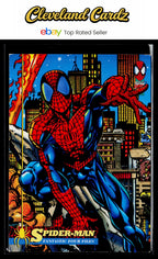 1994 Fleer The Amazing Spider-Man #41 Spider-Man