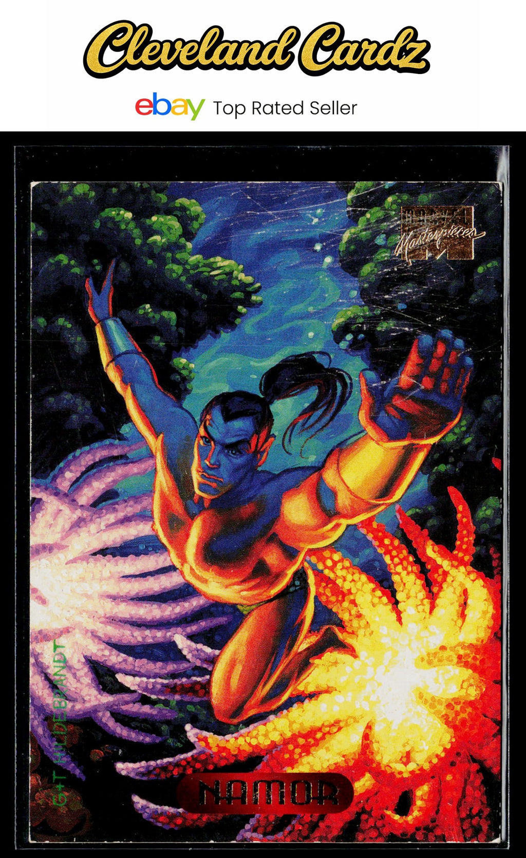 1994 Fleer Marvel Masterpieces Hildebrandt Brothers #81 Namor