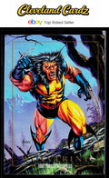 1992 SkyBox Marvel Masterpieces #94 Wolverine
