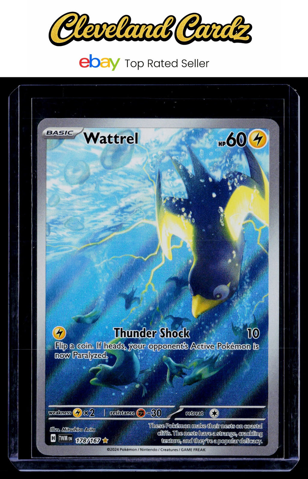 SV06: Twilight Masquerade #178/167 Wattrel