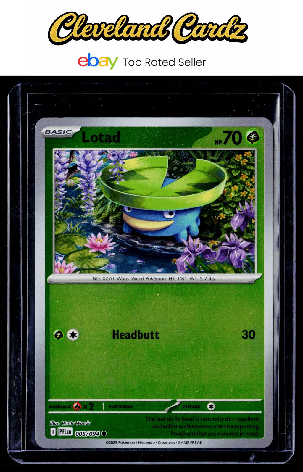 ME02: Phantasmal Flames #005/094 Lotad