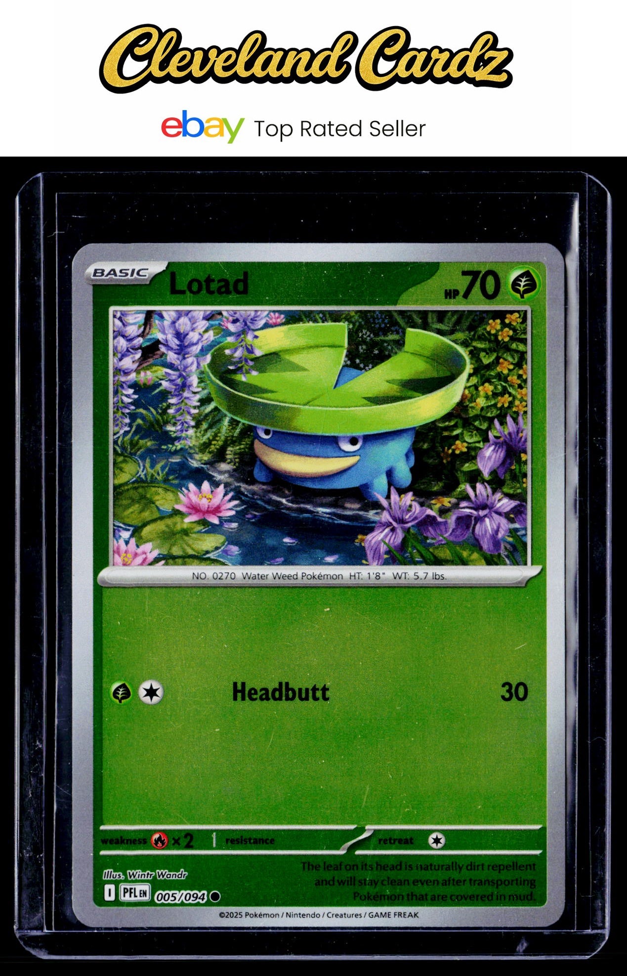 ME02: Phantasmal Flames #005/094 Lotad