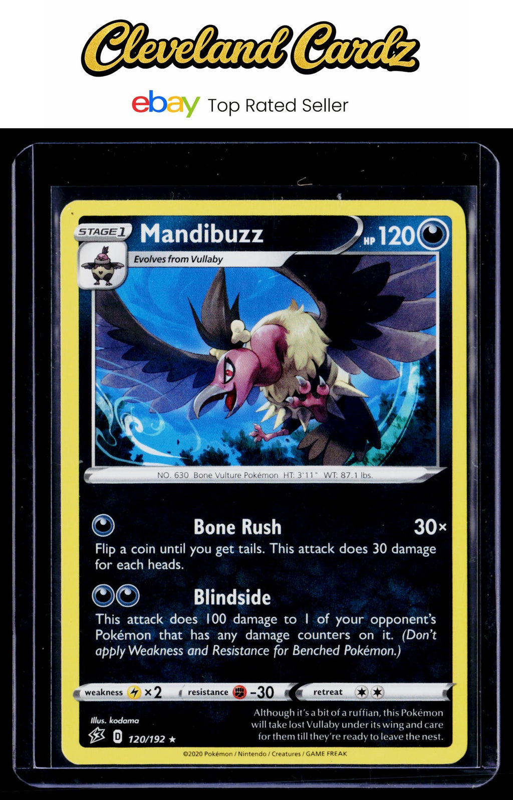 SWSH02: Rebel Clash #120/192 Mandibuzz