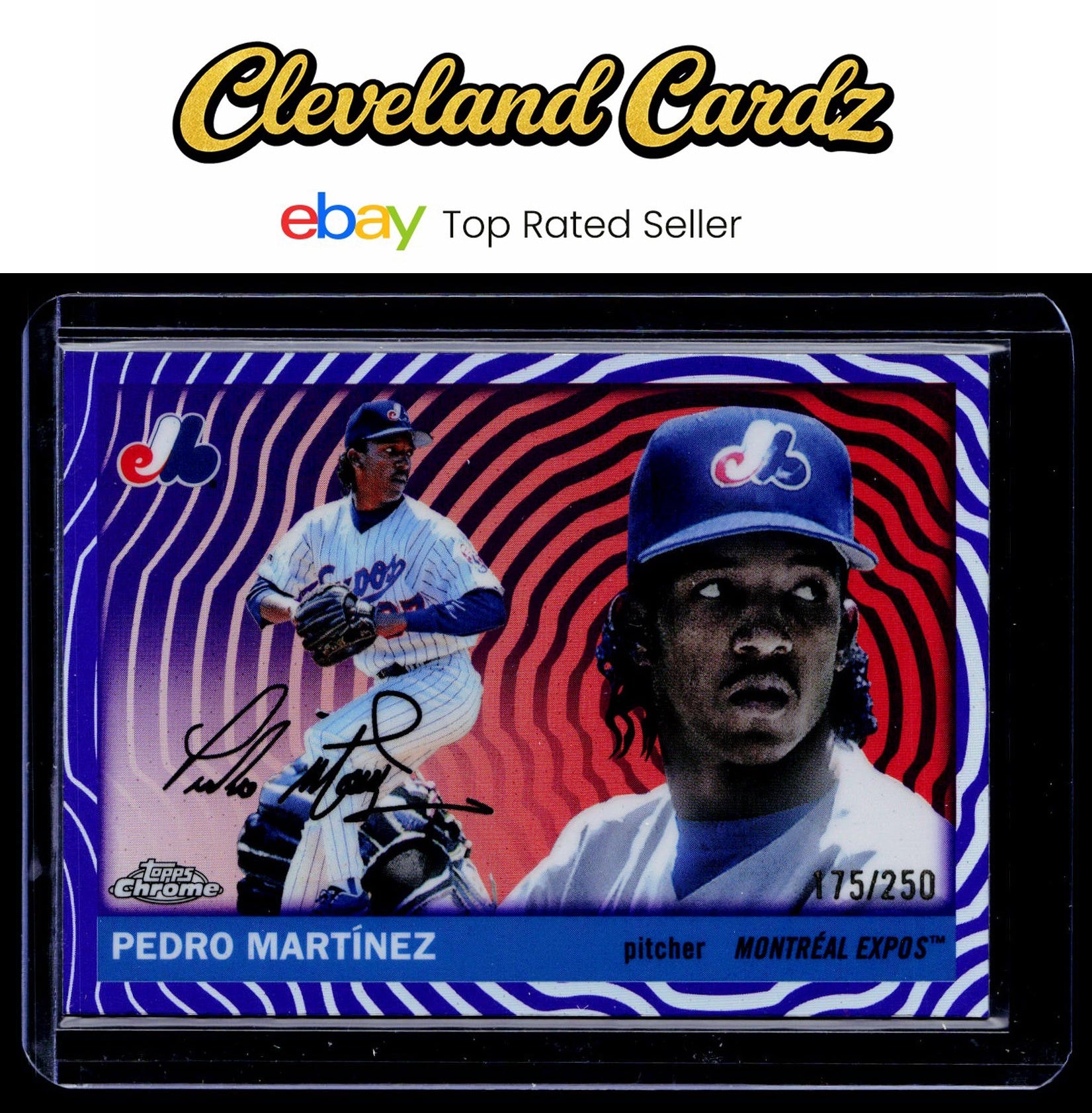 2025 Topps Chrome Platinum #435 Pedro Martinez Vibrations Refractors #/250
