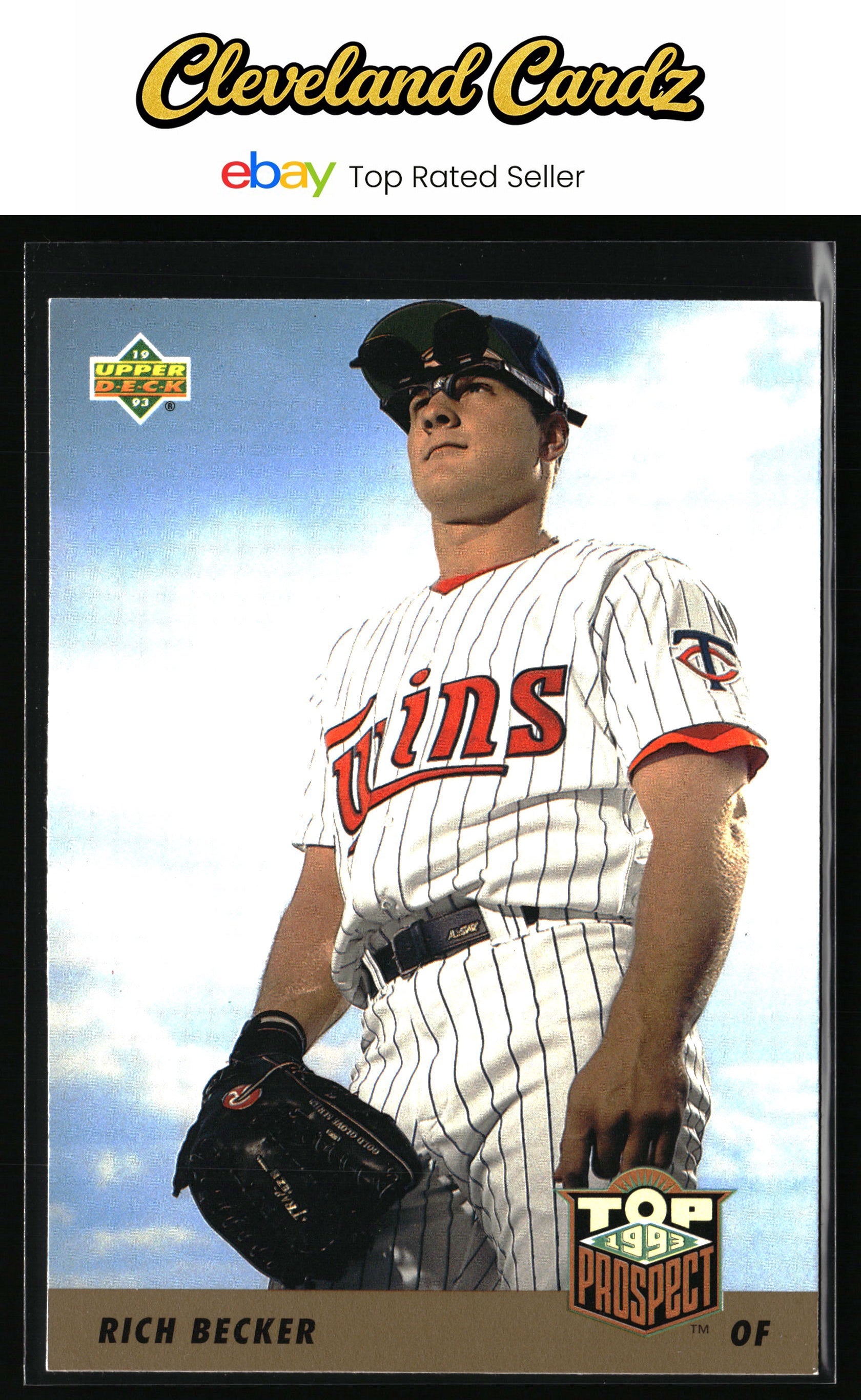 1993 Upper Deck #447 Rich Becker