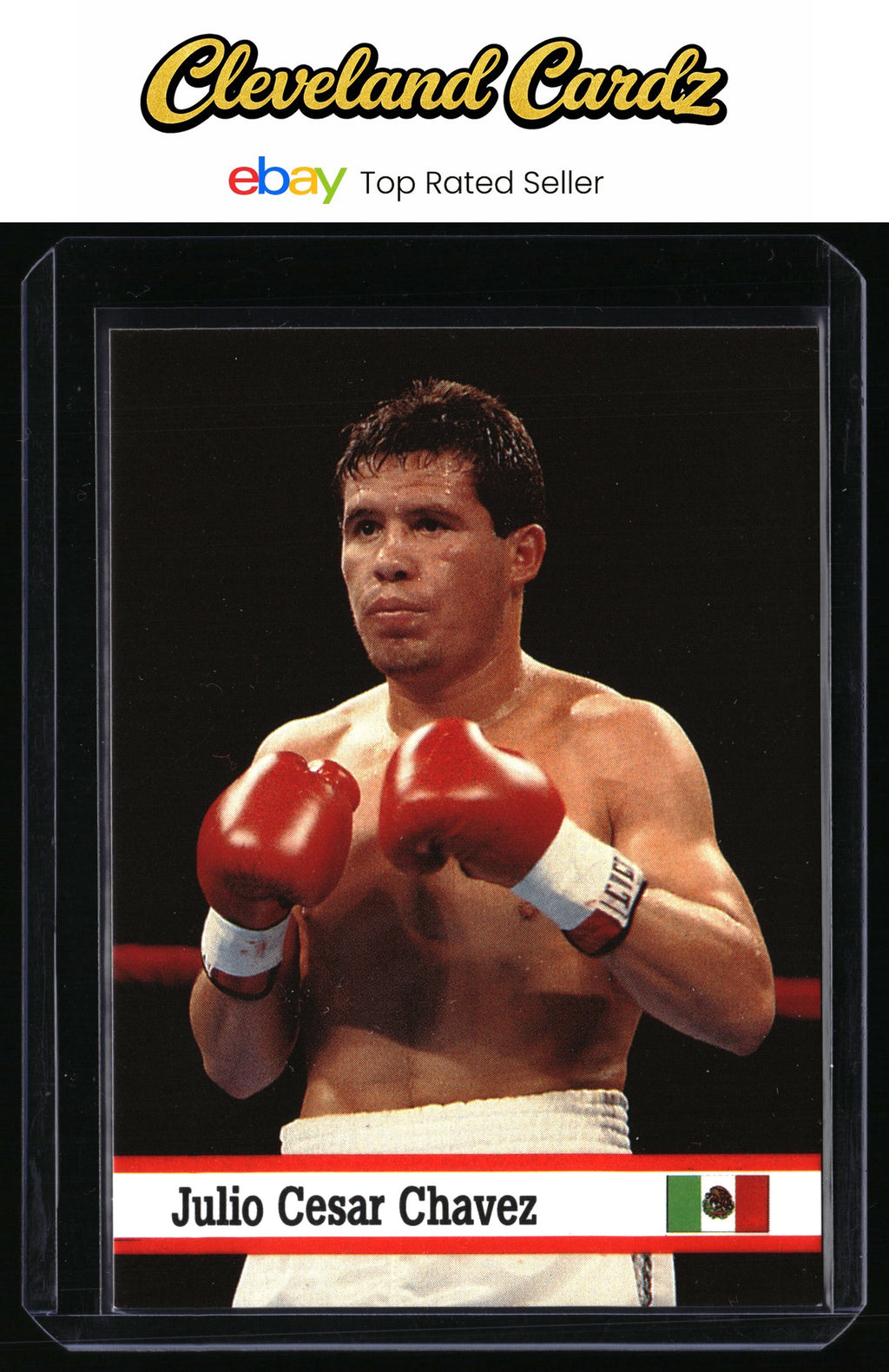 1993 Fax Pax World of Sport #10 Julio Cesar Chavez