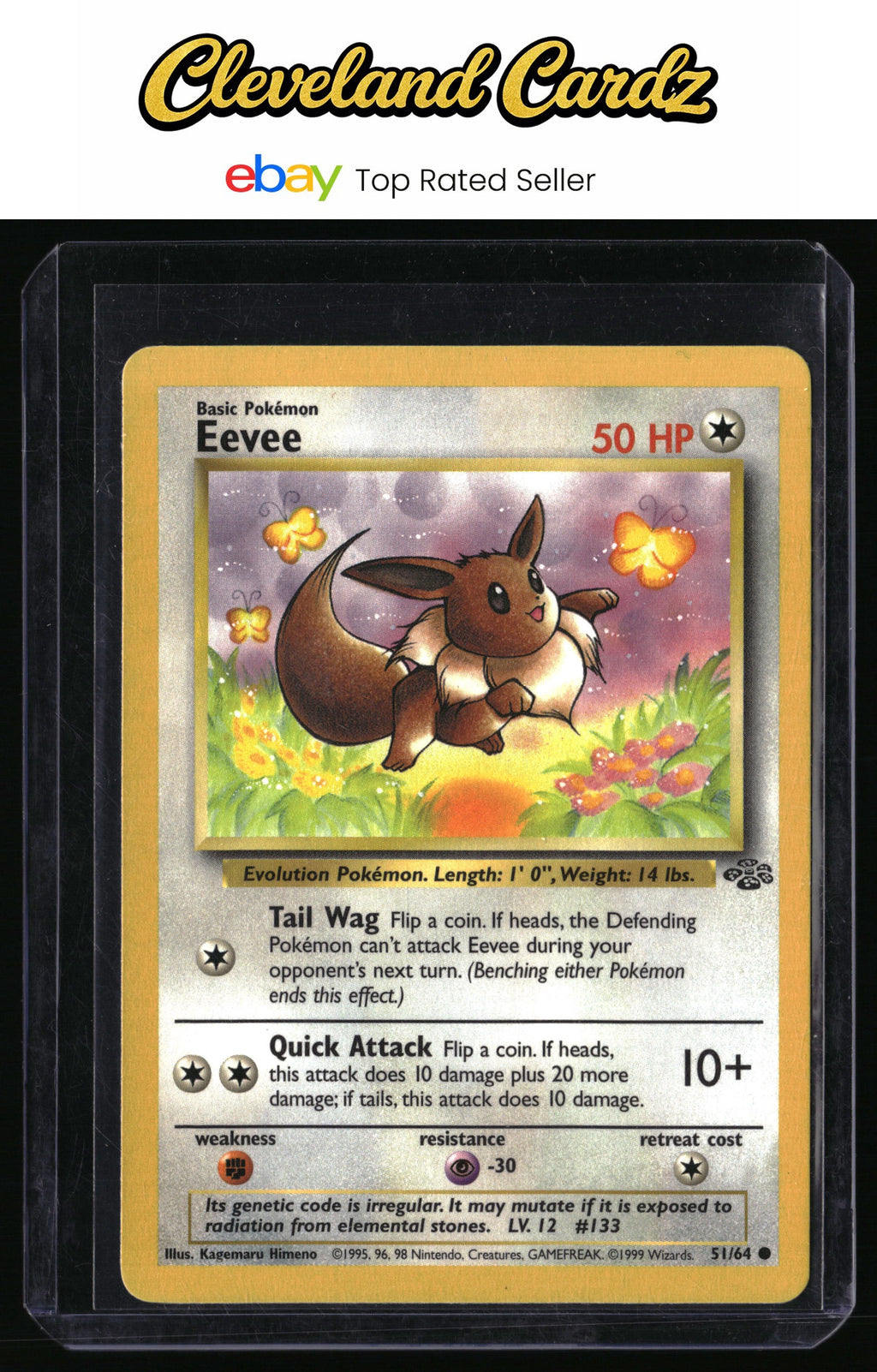 Jungle #51/64 Eevee