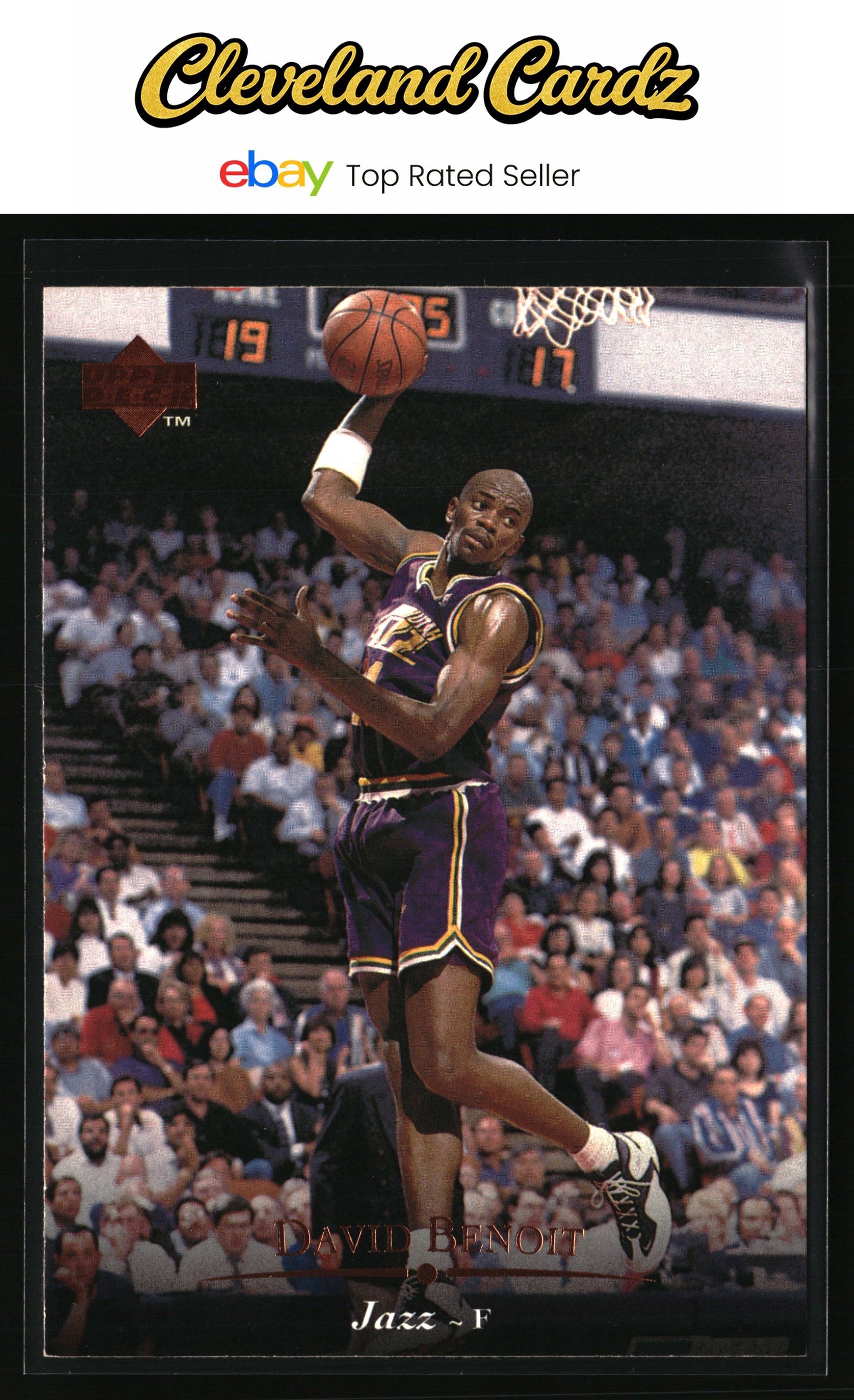 1995-96 Upper Deck #102 David Benoit Electric Court