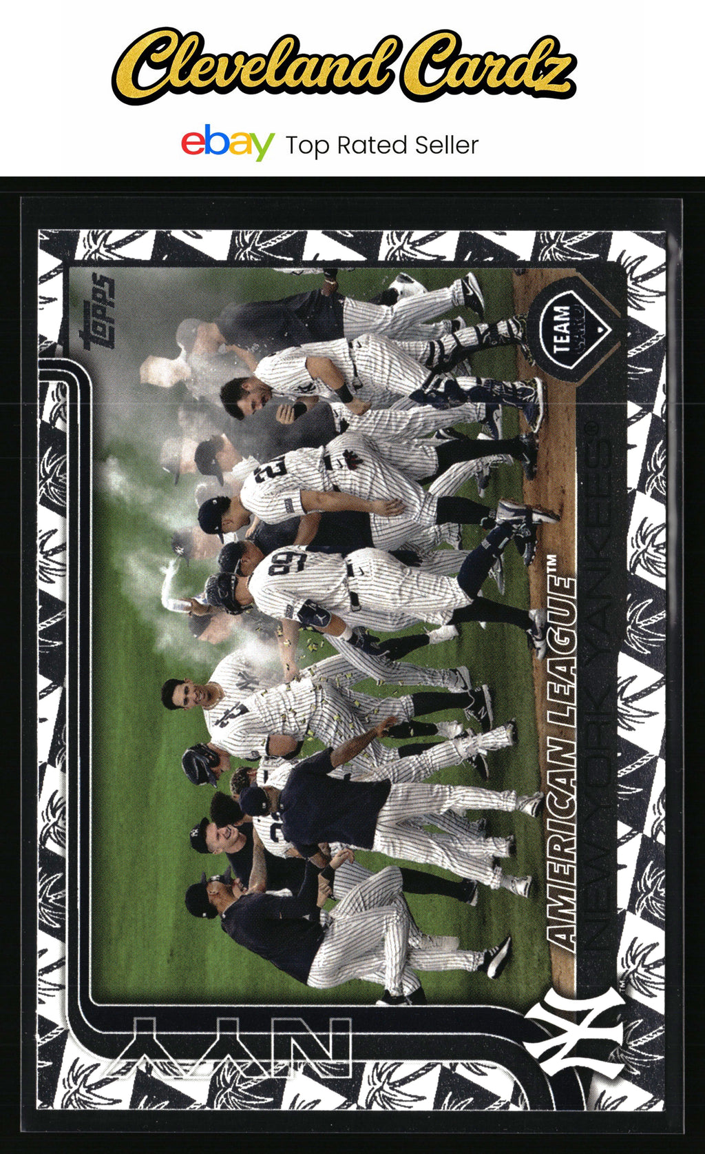 2025 Topps #123 New York Yankees Spring Training