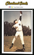 1979 TCMA The 1950’s #253 Art Schult