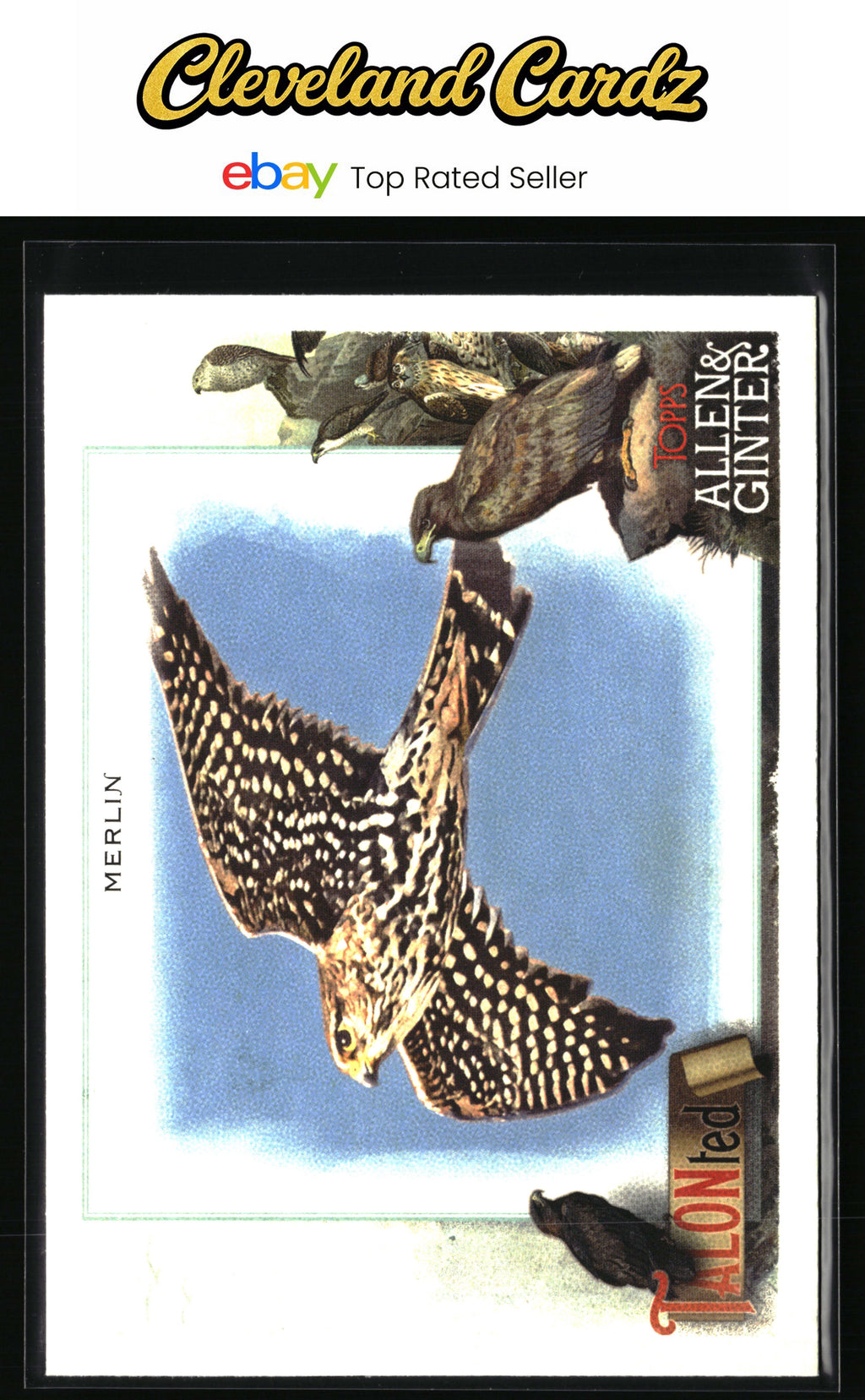 2023 Topps Allen & Ginter #TT-10 Merlin Talonted