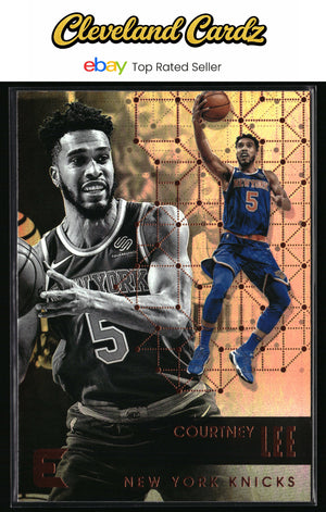2017-18 Panini Essentials #194 Courtney Lee
