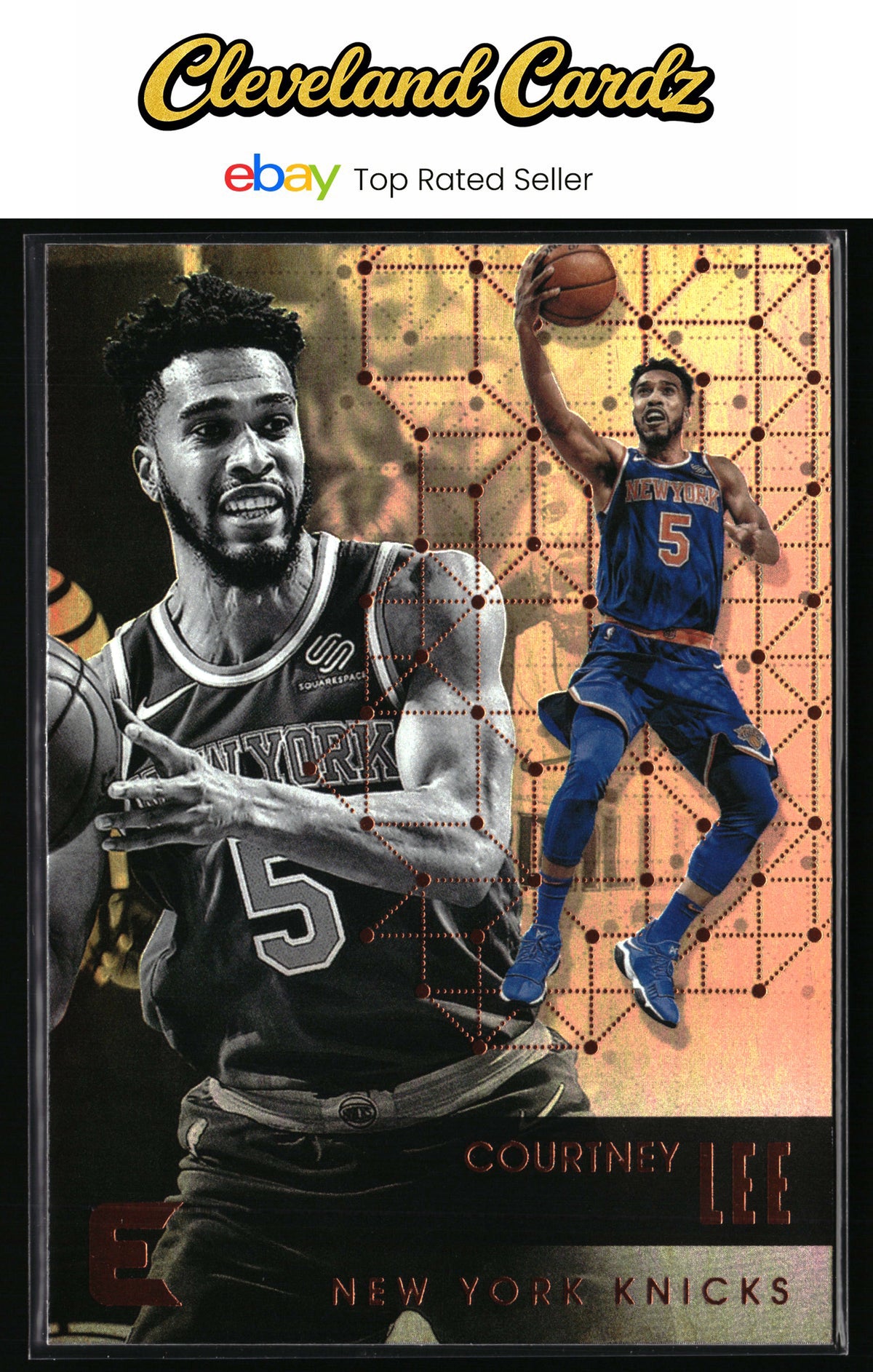 2017-18 Panini Essentials #194 Courtney Lee