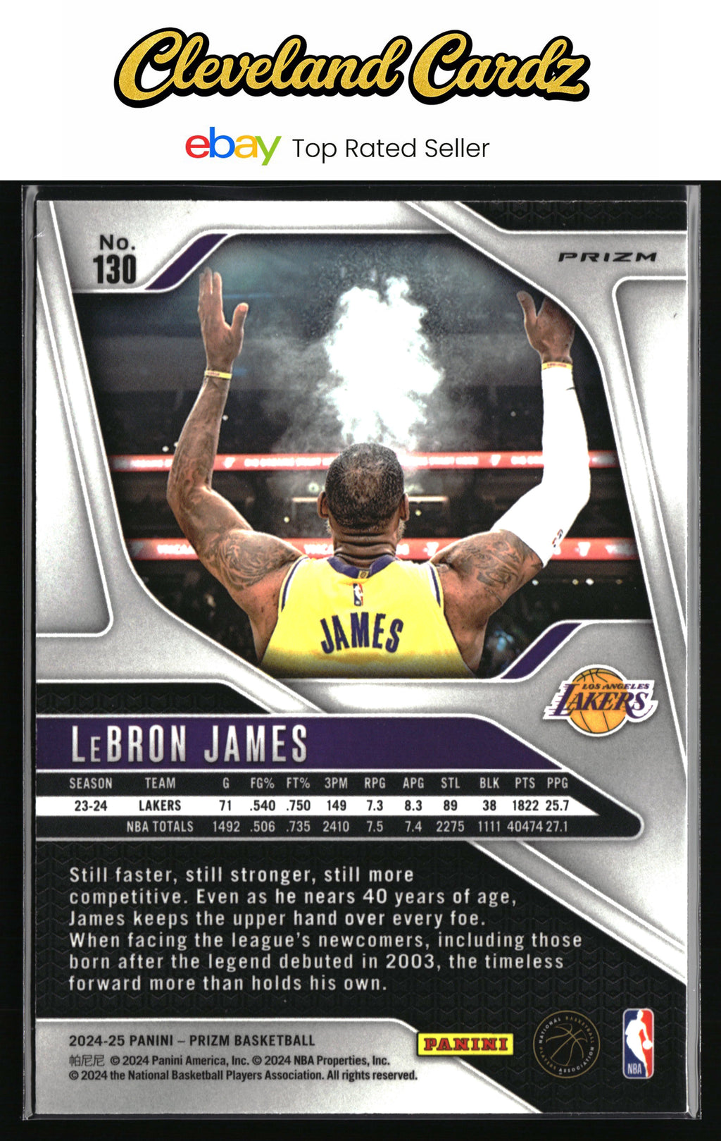 2024-25 Panini Prizm #130 LeBron James Prizms Silver SSP