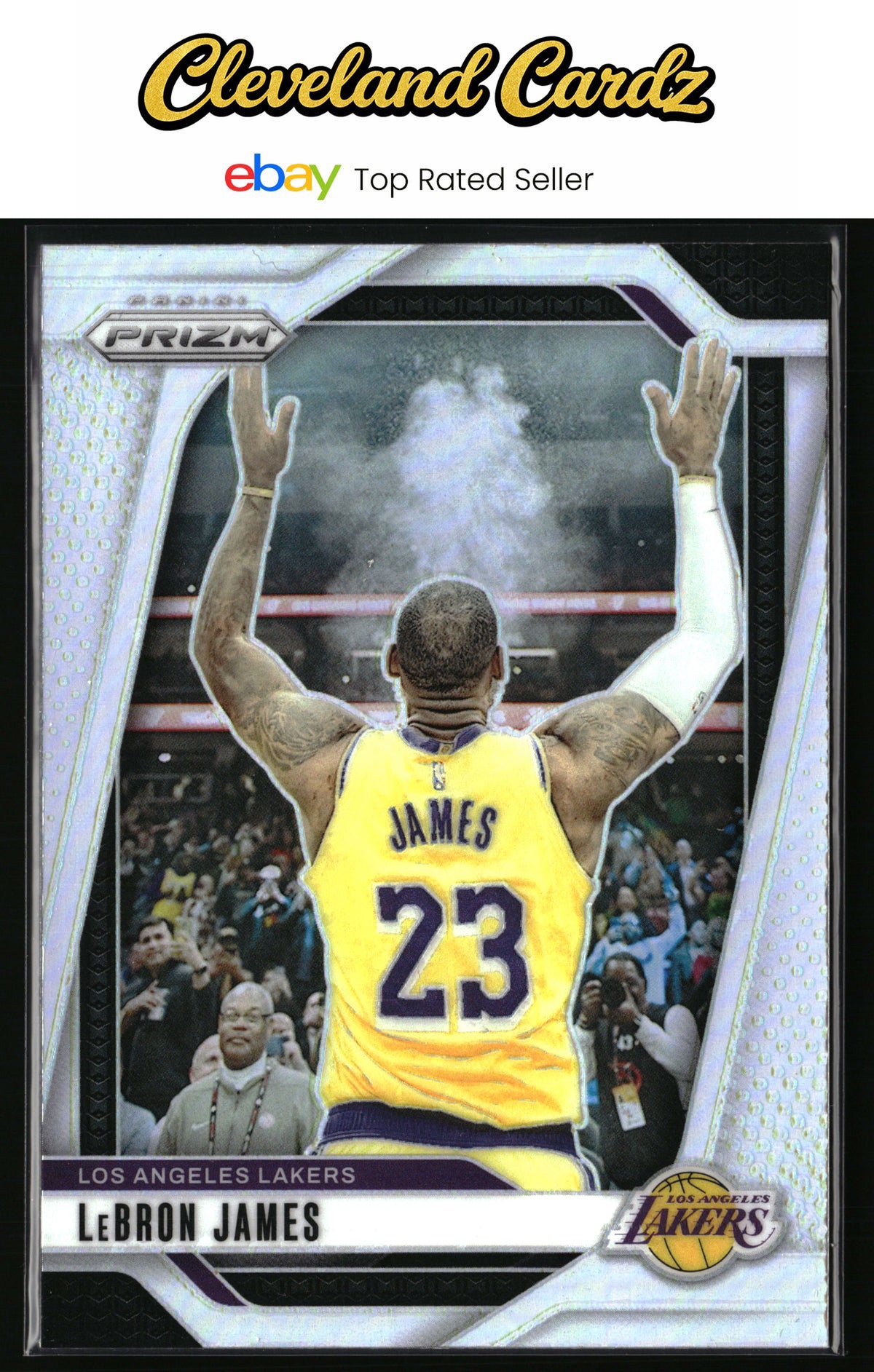 2024-25 Panini Prizm #130 LeBron James Prizms Silver SSP
