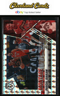 2020-21 Panini Mosaic #8 Pascal Siakam Montage Mosaic