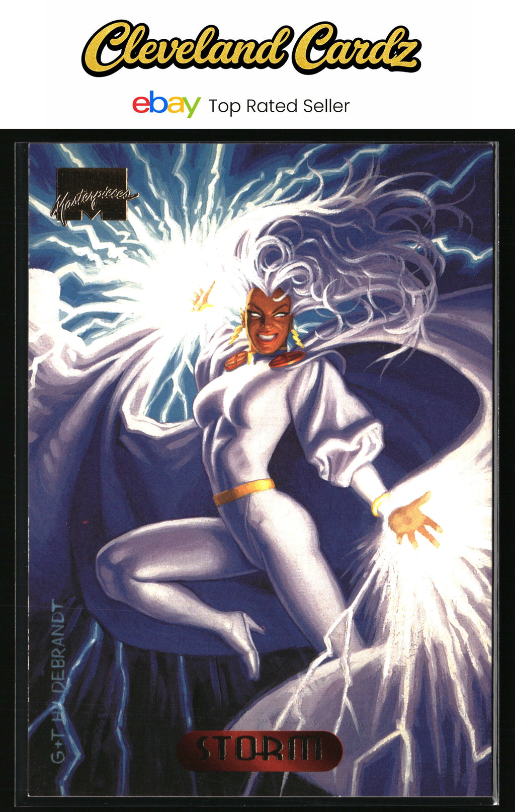 1994 Fleer Marvel Masterpieces Hildebrandt Brothers #118 Storm