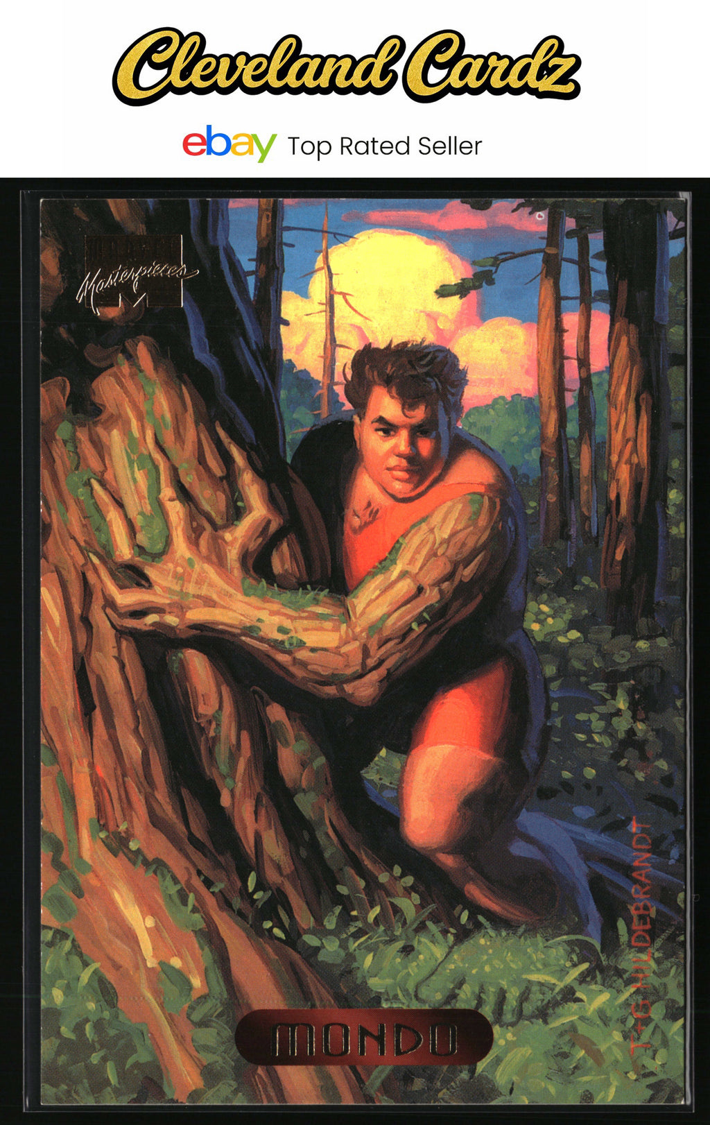 1994 Fleer Marvel Masterpieces Hildebrandt Brothers #78 Mondo