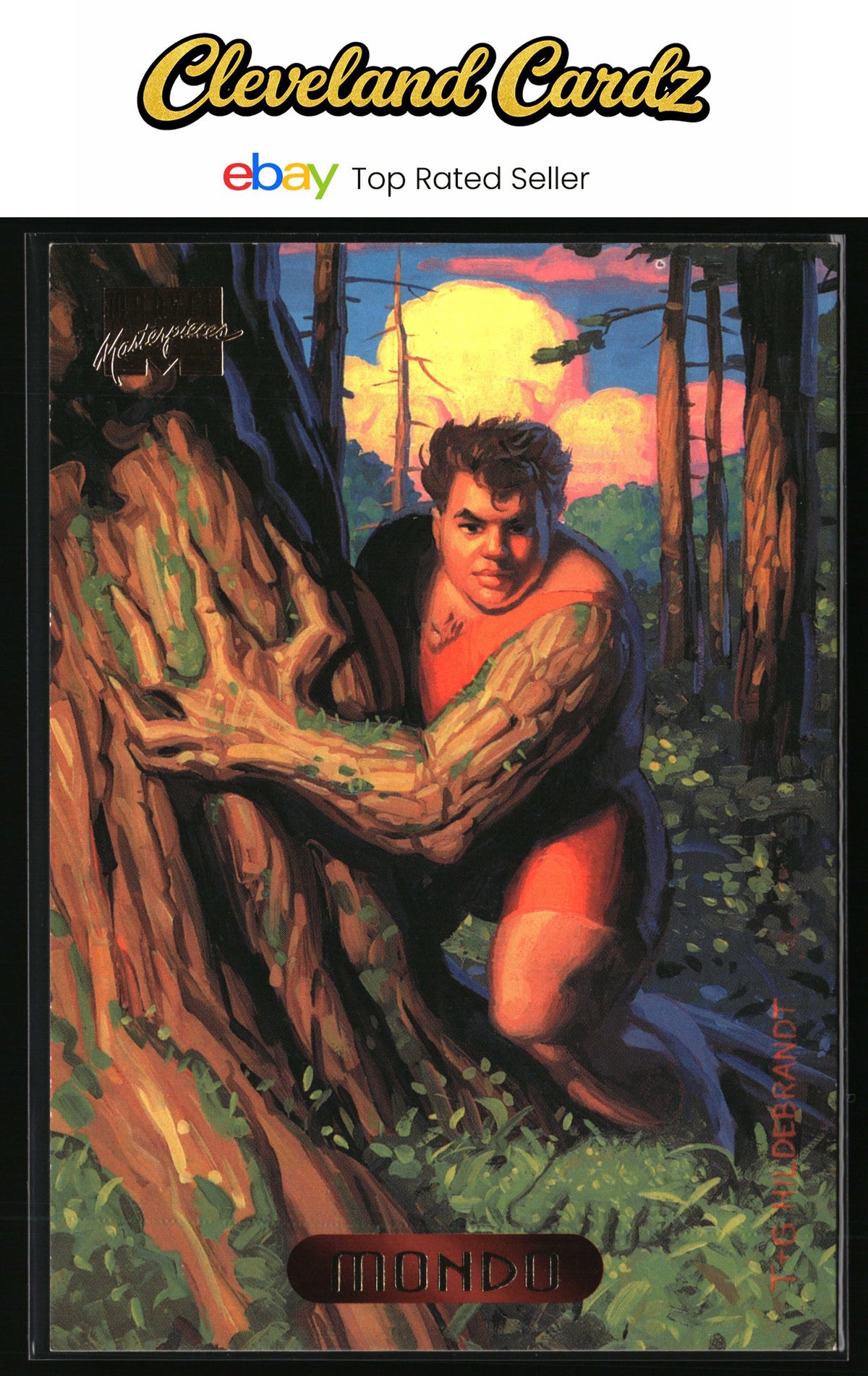 1994 Fleer Marvel Masterpieces Hildebrandt Brothers #78 Mondo