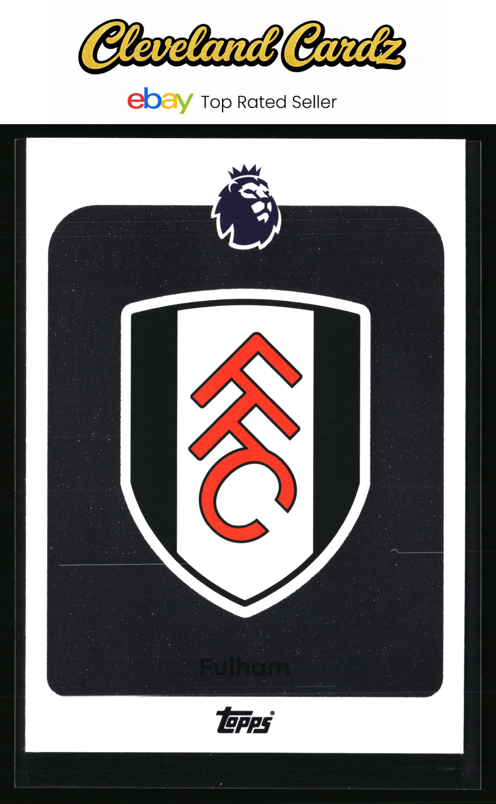 2024-25 Panini Premier League Stickers #255 Club Badge LOGO, FOIL