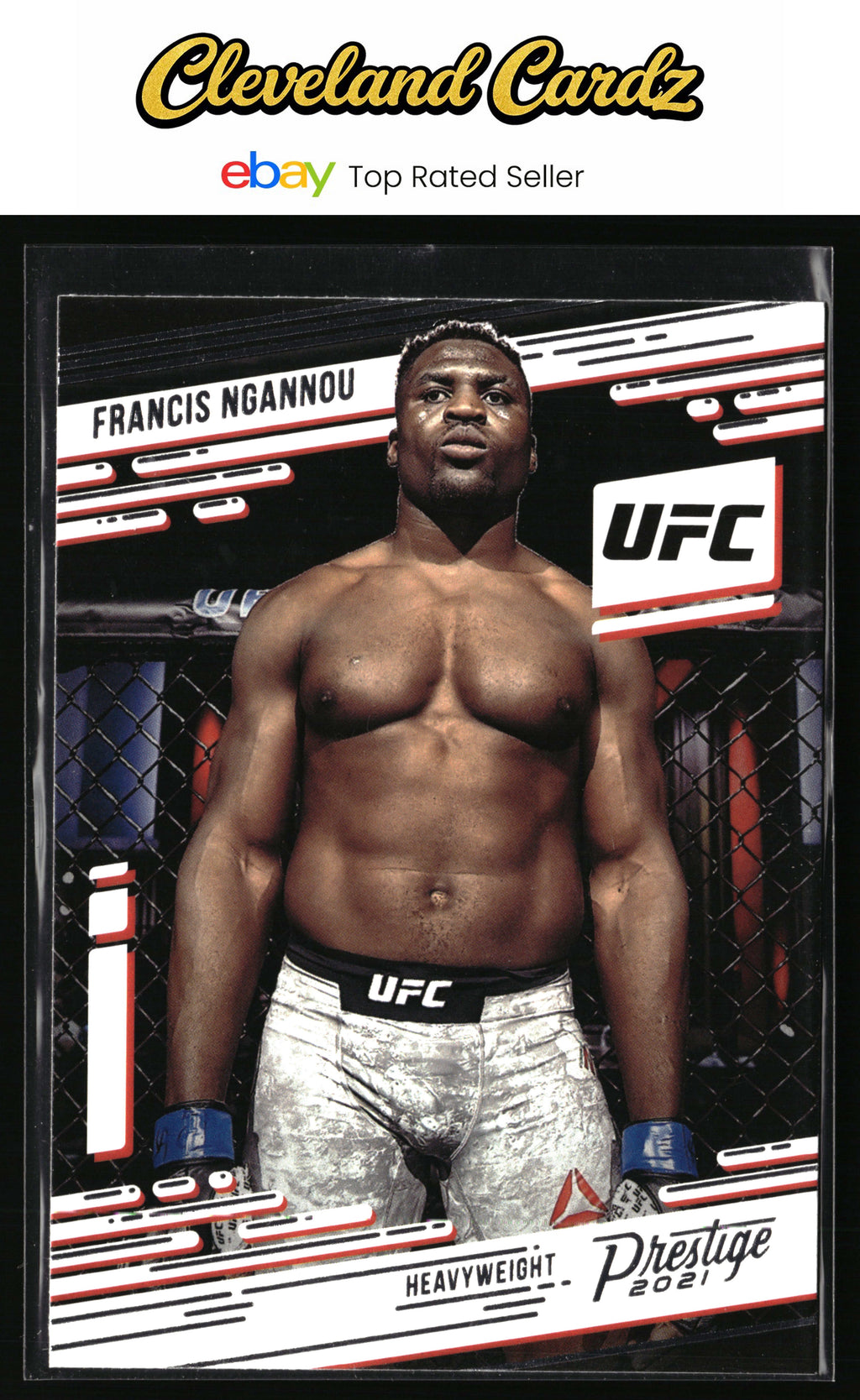 2021 Panini Chronicles UFC #79 Francis Ngannou