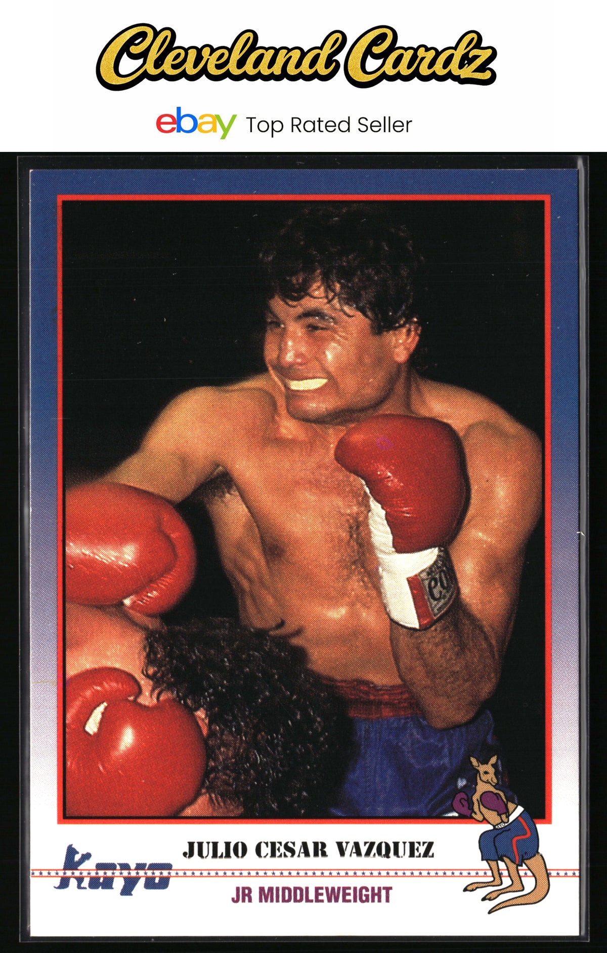 1991 Kayo #048 Julio Cesar Vasquez