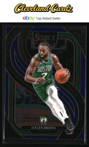 2024-25 Panini Select #146 Jaylen Brown Blue