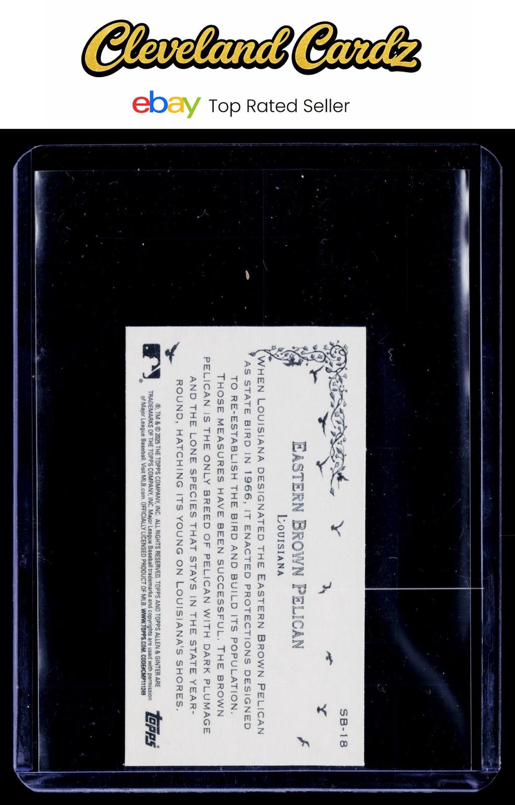 2025 Topps Allen & Ginter #SB-6 Lark Bunting Mini State Birds