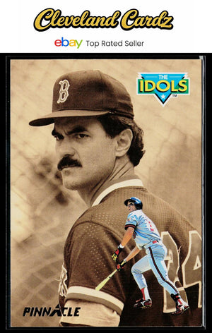 1993 Pinnacle #303 Tim Salmon / Dwight Evans IDOL